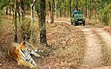 Corbett National Park Corbett National Park