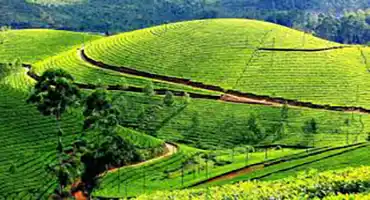 About Mahalaxmi Tour and Travels About Mahalaxmi Tour and Travels