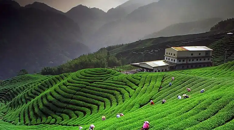 About Mahalaxmi Tour and Travels About Mahalaxmi Tour and Travels